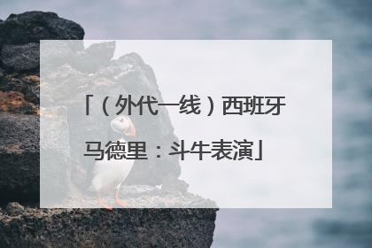 （外代一线）西班牙马德里：斗牛表演
