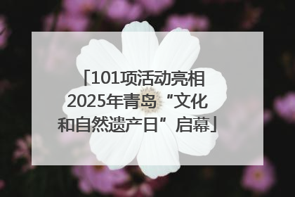 101项活动亮相 2025年青岛“文化和自然遗产日”启幕