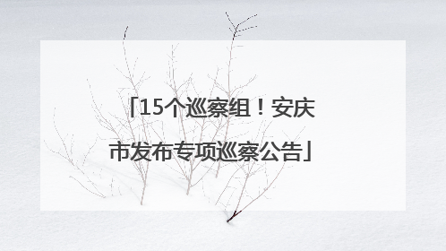 15个巡察组！安庆市发布专项巡察公告