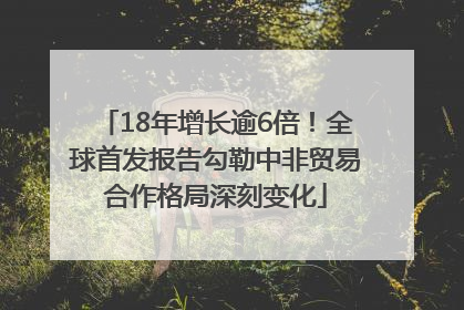 18年增长逾6倍！全球首发报告勾勒中非贸易合作格局深刻变化