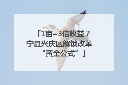 1亩=3倍收益？宁夏兴庆区解锁改革“黄金公式”