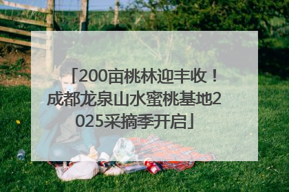 200亩桃林迎丰收！成都龙泉山水蜜桃基地2025采摘季开启