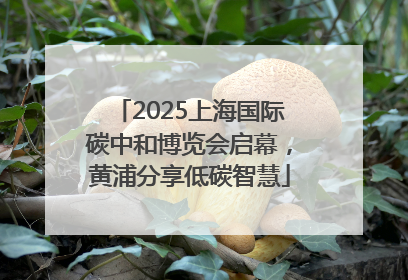 2025上海国际碳中和博览会启幕，黄浦分享低碳智慧