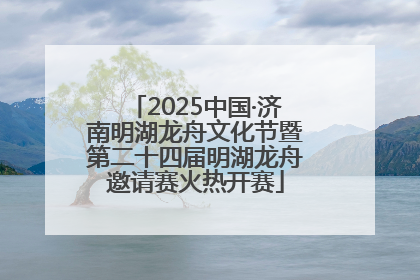 2025中国·济南明湖龙舟文化节暨第二十四届明湖龙舟邀请赛火热开赛