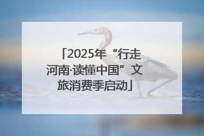 2025年“行走河南·读懂中国”文旅消费季启动