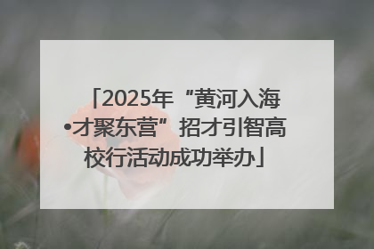 2025年“黄河入海•才聚东营”招才引智高校行活动成功举办