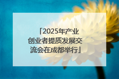 2025年产业创业者提质发展交流会在成都举行