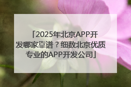 2025年北京APP开发哪家靠谱？细数北京优质专业的APP开发公司