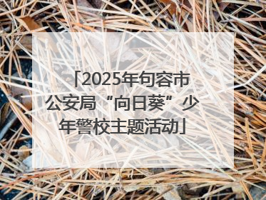 2025年句容市公安局“向日葵”少年警校主题活动