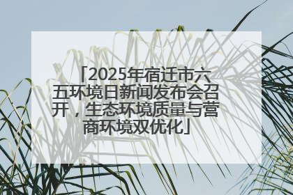 2025年宿迁市六五环境日新闻发布会召开，生态环境质量与营商环境双优化