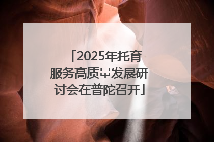 2025年托育服务高质量发展研讨会在普陀召开