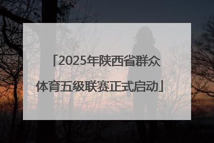 2025年陕西省群众体育五级联赛正式启动