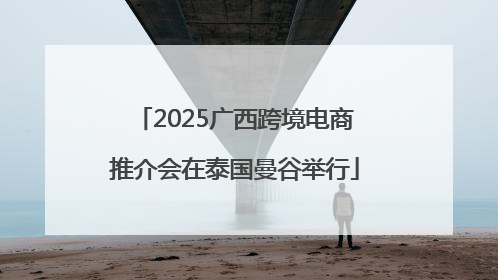 2025广西跨境电商推介会在泰国曼谷举行