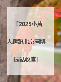2025小黄人趣跑北京园博园站收官