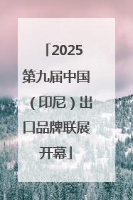 2025第九届中国（印尼）出口品牌联展开幕