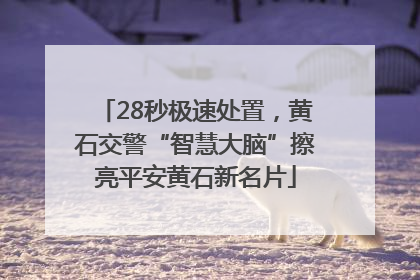 28秒极速处置，黄石交警“智慧大脑”擦亮平安黄石新名片