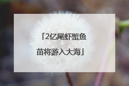 2亿尾虾蟹鱼苗将游入大海