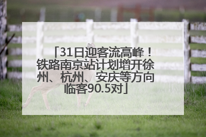 31日迎客流高峰！铁路南京站计划增开徐州、杭州、安庆等方向临客90.5对