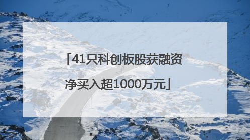 41只科创板股获融资净买入超1000万元
