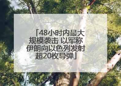 48小时内最大规模袭击 以军称伊朗向以色列发射超20枚导弹