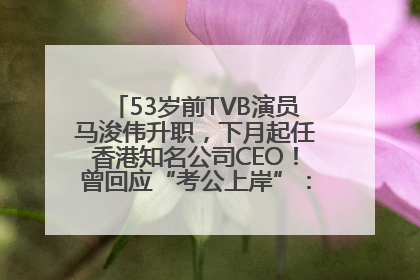 53岁前TVB演员马浚伟升职，下月起任香港知名公司CEO！曾回应“考公上岸”：真不是公务员