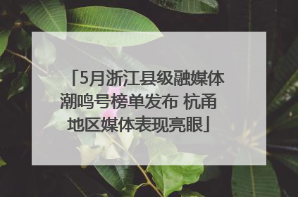 5月浙江县级融媒体潮鸣号榜单发布 杭甬地区媒体表现亮眼