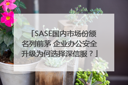 SASE国内市场份额名列前茅 企业办公安全升级为何选择深信服？